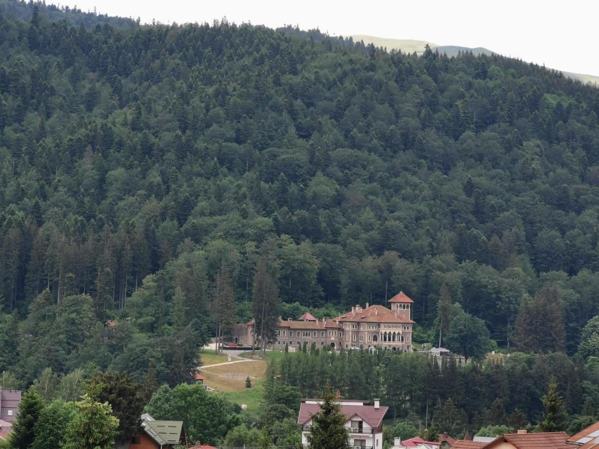 Hotel Iri Buşteni Exteriör bild