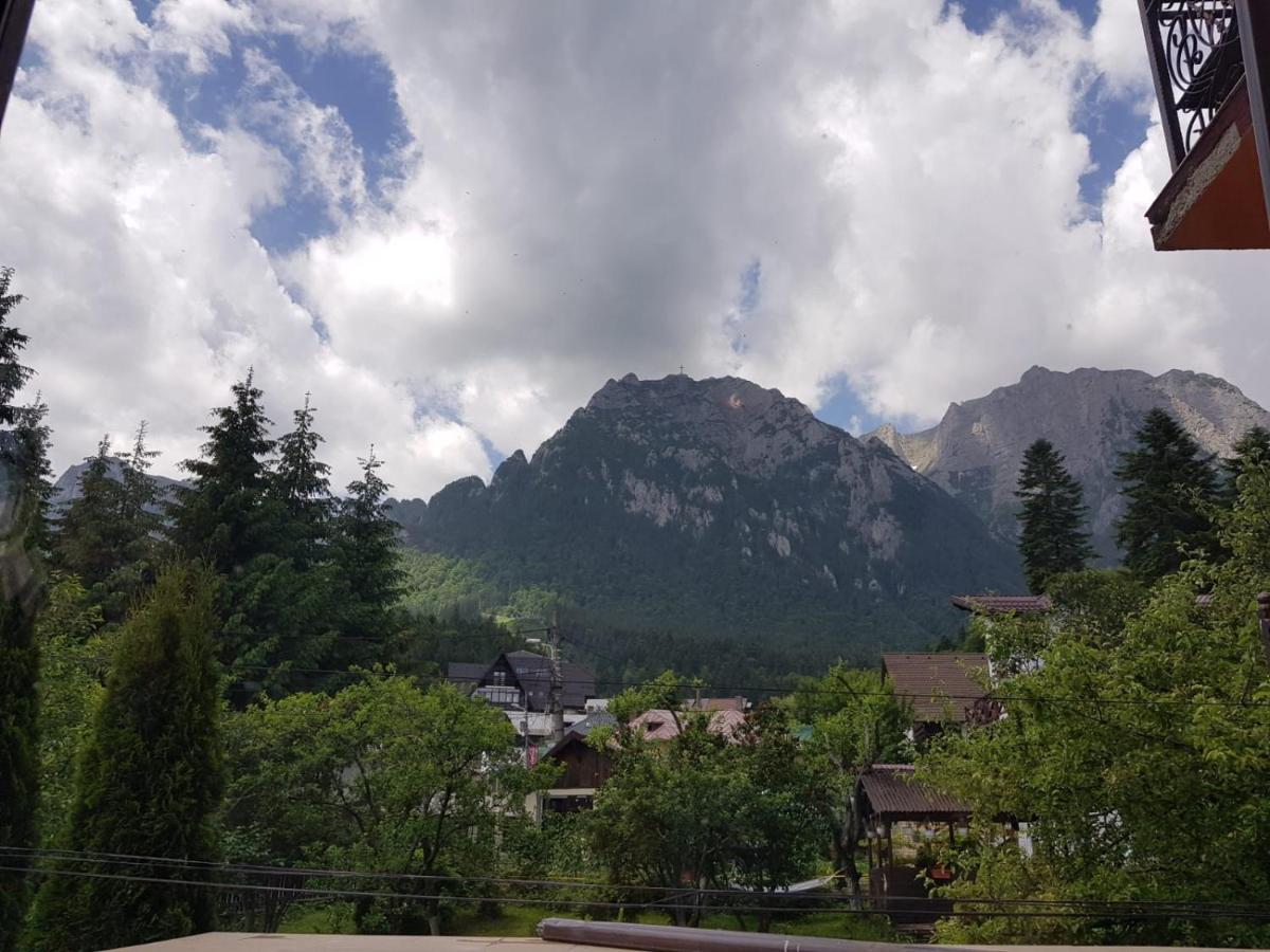 Hotel Iri Buşteni Exteriör bild